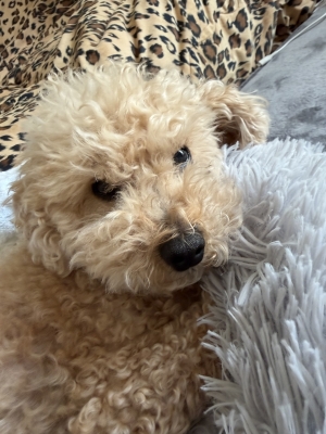 RYOICHIRO(ﾘｮｳｲﾁﾛｳ) すんっ