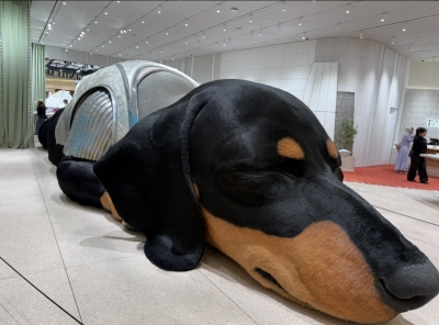 KIRITO(ｷﾘﾄ) 大ドックじゃ