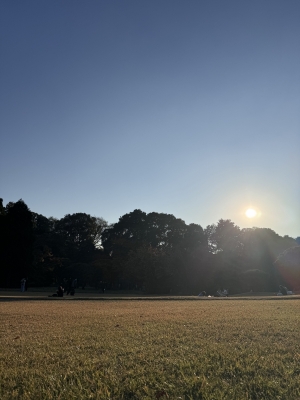 MAMORU(ﾏﾓﾙ) 🥰