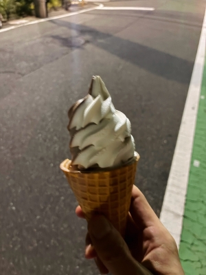 RINKO(ﾘﾝｺ) 夏の思い出