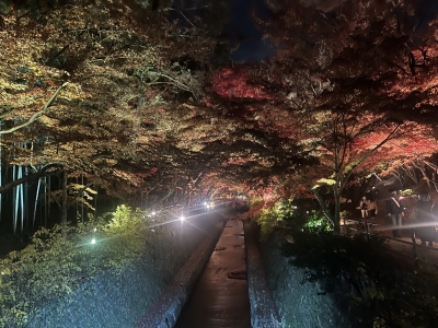 HARUTO(ﾊﾙﾄ) おはようございます