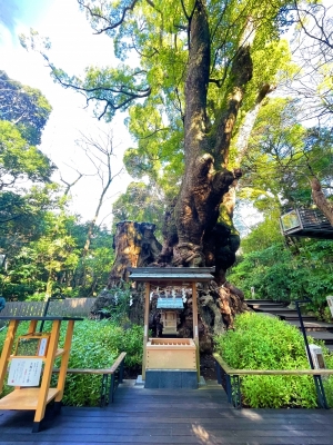 RINTAROU(ﾘﾝﾀﾛｳ) 茨城のパワースポット　りんたろう🔔