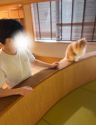 JINPACHI(ｼﾞﾝﾊﾟﾁ) 🐱