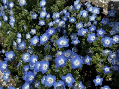 TAKAYA（ﾀｶﾔ） たいせつなこと