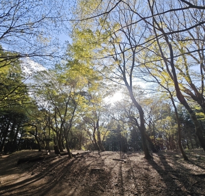 GENKI(ｹﾞﾝｷ) 月曜日のリスタート