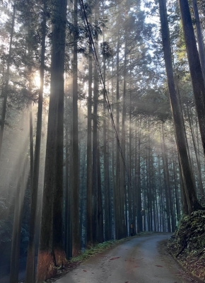 SHINICHI(ｼﾝｲﾁ) 起死回生