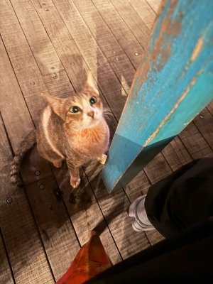 KIRITO(ｷﾘﾄ) 直近の空き枠🙈