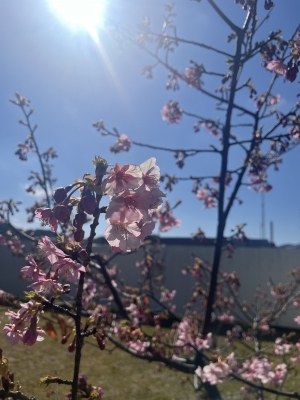 SAITO(ｻｲﾄ) 有酸素してたら