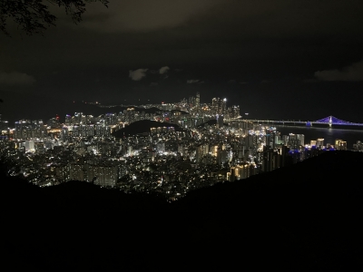 TAKA（ﾀｶ） 五感