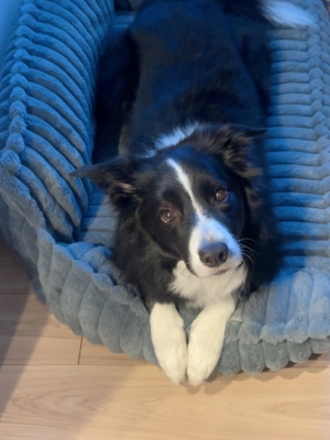 ATSUMU（ｱﾂﾑ） おてて