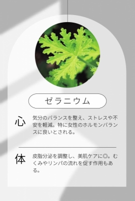 MIKURI(ﾐｸﾘ) ゼラニウムさんについて