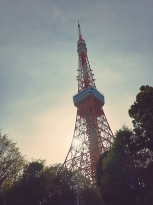 KOYOI(ｺﾖｲ) トキョタワ