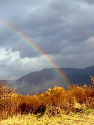 RUI(ルイ) 後半も