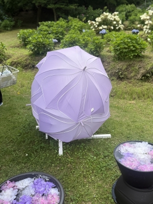 RAIJI(ﾗｲｼﾞ) Flower