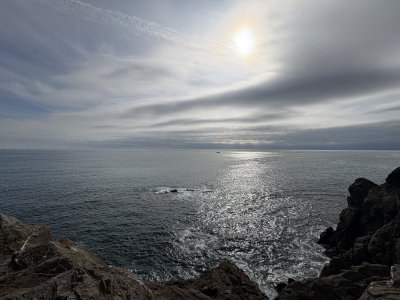 TAKA(ﾀｶ) 新年早々