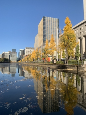 KIMICHIKA(ｷﾐﾁｶ) 外苑前にイチョウを観に行くよりも