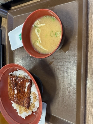 TOA(ﾄｱ) うなぎの骨