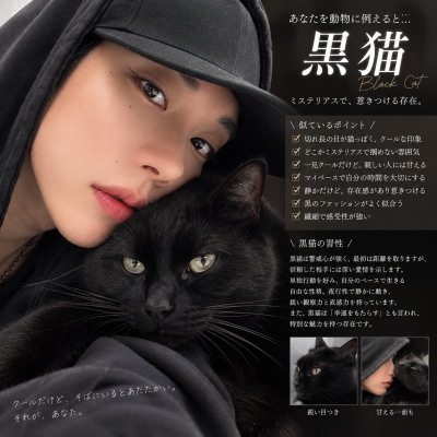 TOA(ﾄｱ) 猫