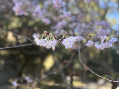 KAREN(カレン) 下げなくてもいい場所