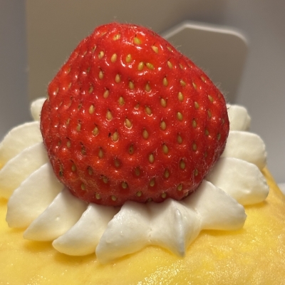 SOUP(ｽｰﾌﾟ) イチすーぷ