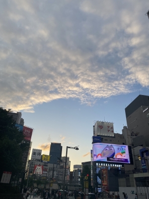 TSUBASA(ﾂﾊﾞｻ) 最近思う事