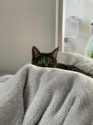 MINORI(ﾐﾉﾘ) はじめは誰だって警戒する