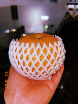 MOCHI（ﾓﾁ） 瑞々しい。