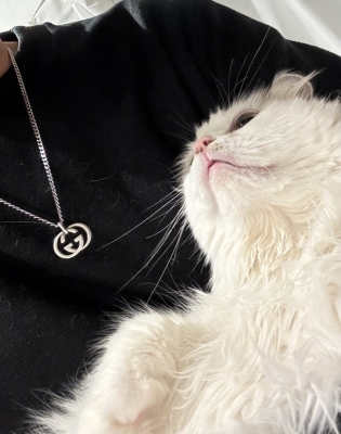 YUMA(ﾕｳﾏ) 本日ー！