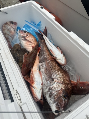 GAKU(ｶﾞｸ) 最高の休日