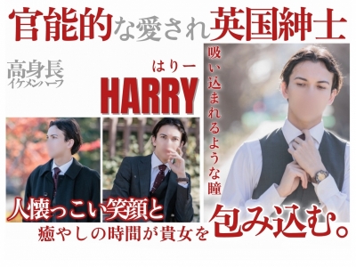 HARRY(ハリー) 🇬🇧バナーありがとうございます🇯🇵