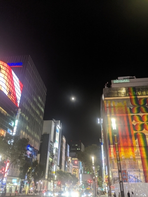 KONOSUKE(ｺｳﾉｽｹ) 冬は夜が綺麗