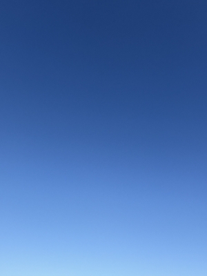 SHINGETSU(ｼﾝｹﾞﾂ) おはようございます！