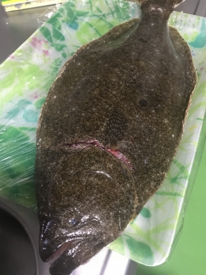 SHINGETSU(ｼﾝｹﾞﾂ) 最近行けてないけど🐟