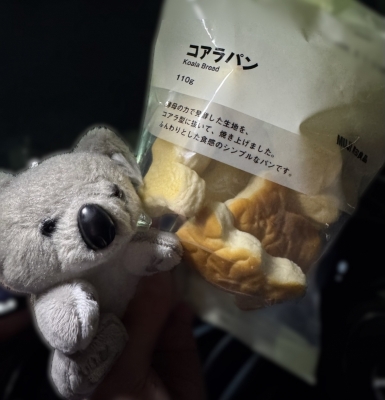 TAEHYUNG(ﾃﾋｮﾝ) コアラ