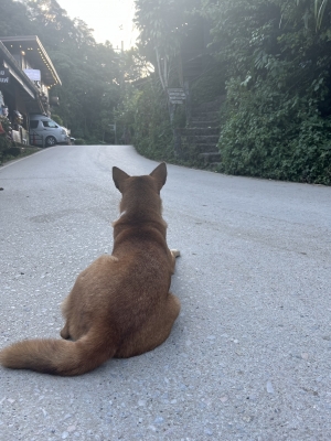 MOCHI（ﾓﾁ） あなたの魅力。