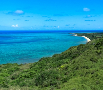 SHINICHI(ｼﾝｲﾁ) やまない雨はない