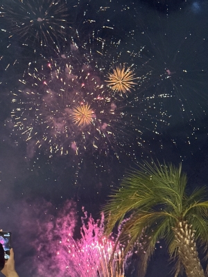 HYO(ﾋｮｳ) よきディナーでした🎆🎇🎆