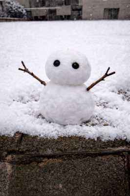 リル(Riru) 雪はしゃいで駆け回ってきた