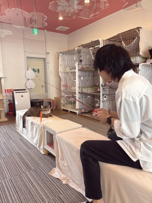 AZUMA（ｱｽﾞﾏ） 猫アレルギーじゃないと信じたい
