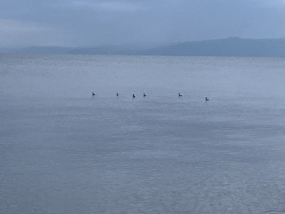 TAKAHARU(タカハル) 海の日!