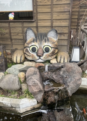 MAHORO(ﾏﾎﾛ) お久しぶりです♫