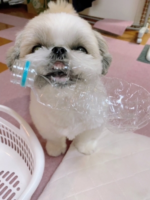 KENTO (ｹﾝﾄ) 気づき