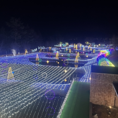 YUU(ﾕｳ) 2月予定