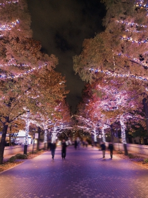 YUZU(ﾕｽﾞ) きらきら✨