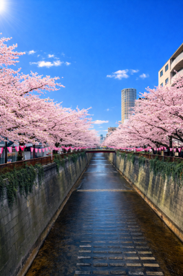 TAKAYA（ﾀｶﾔ） どうして、、、