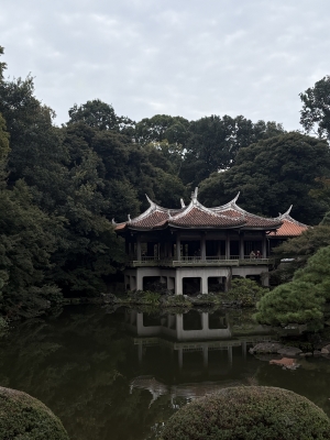 MASH(マッシュ) 午前中の新宿御苑をお散歩した日