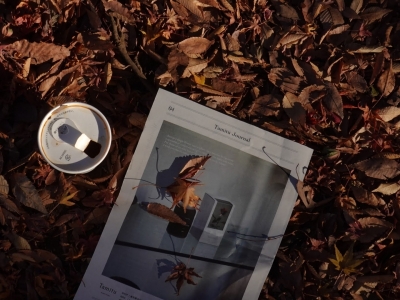 MASH(ﾏｯｼｭ) 2025 秋