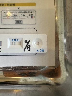 GAKU(ｶﾞｸ) インフルエンザにかかりました