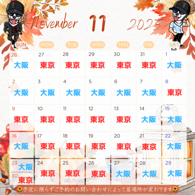 HIMAWARI(ﾋﾏﾜﾘ) 11月の予定　東京&大阪