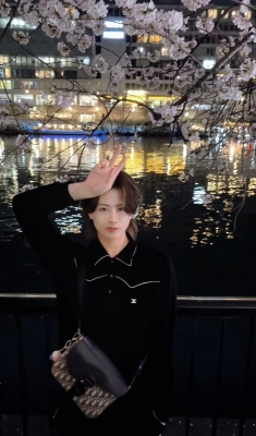 HINATA(ﾋﾅﾀ) 夜桜‼️